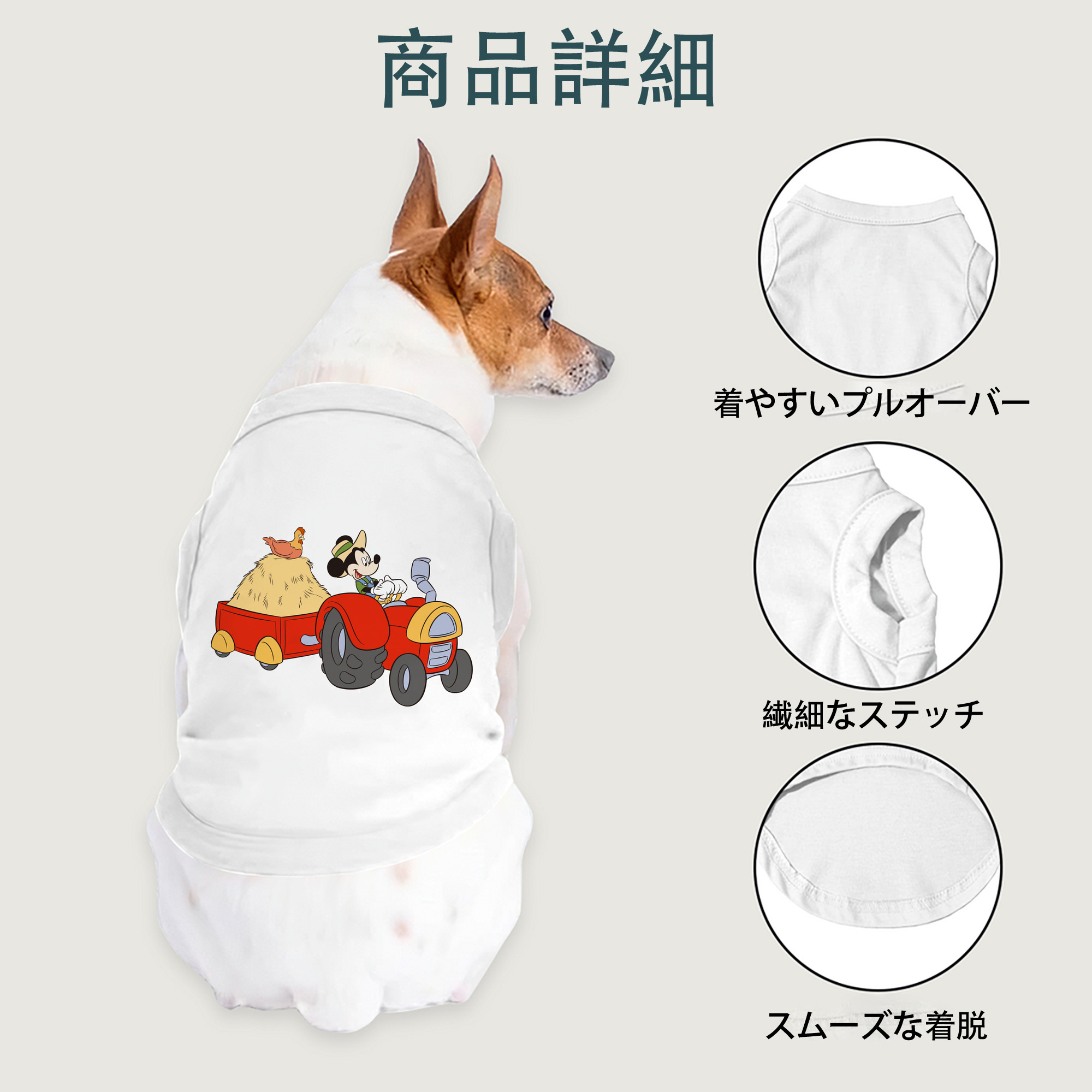 一般的なイメージ